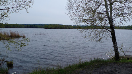 Нефтехимовское озеро, Томск
