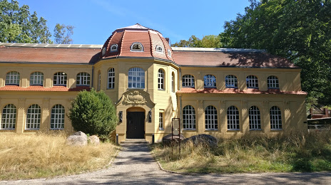 Naturkundemuseum Mauritianum Altenburg, Altenburg