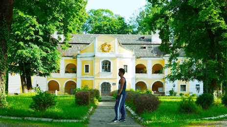 Pereny Zsigmond Castle, Виноградов