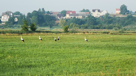 Łomża landscape park, Łomża