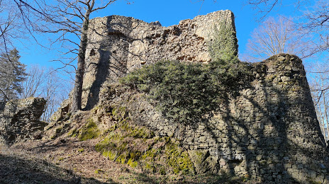 Cisy Castle (Ruiny Zamku Cisy), Walbrzych