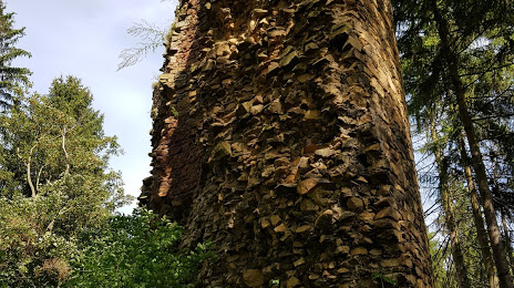Ruiny Zamku w Czarnym Borze, Walbrzych
