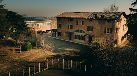 La Piana Winery, Castelvetro di Modena