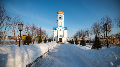 Покровский Александро- Невский женский монастырь, 