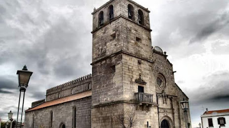 Church of Santa Maria de Azurara (Igreja de Santa Maria de Azurara), 
