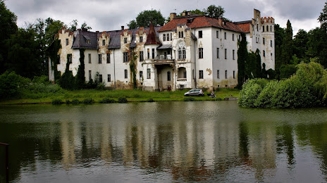 Pałac w Dobrocinie, 
