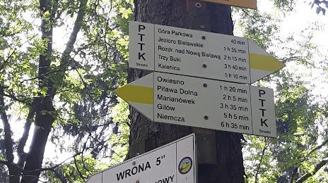 Wrona, Dzierzoniow