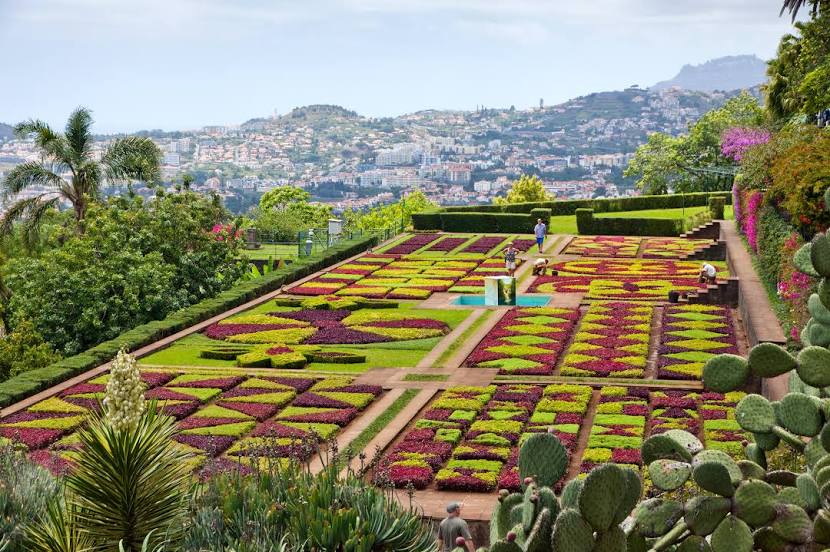 Madeira Botanical Garden, 