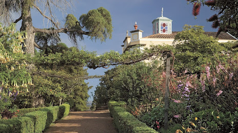 Jardines Palheiro (Palheiro Gardens), Funchal