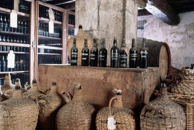 Madeira Wine Company, S.A., Funchal