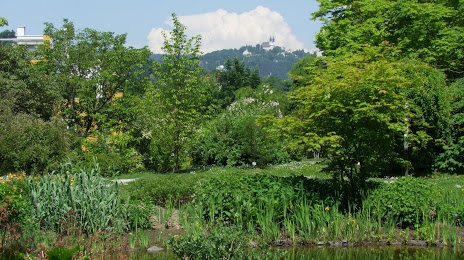 Ботанический сад Линц, Леондинг
