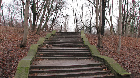 Anton-Saefkow Park, Pankow