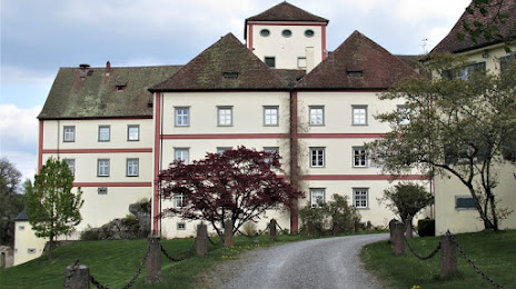 Fasnachtsmuseum Schloss Langenstein, Радольфцелль