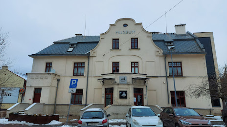 Museum of the City of Jaworzno (Muzeum Miasta Jaworzna), Σοσνόβιεκ