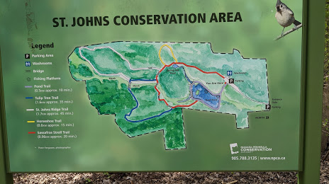 Saint Johns Conservation Area, ثورولد