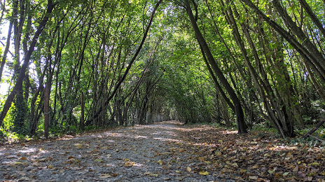 Parque Ecológico de Plaiaundi, Hondarribia