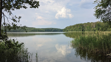 Озеро Мюленбеккер, Ораниенбург