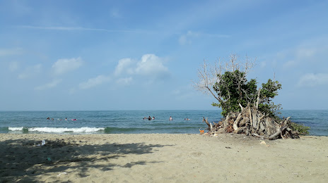 Playa Palo Blanco, Tolu
