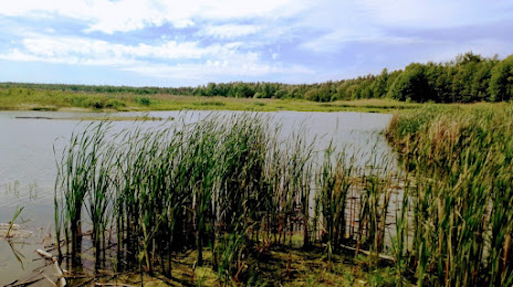озеро Лебединское, Лебедин