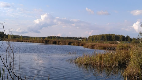 Дичковское озеро, Струнино