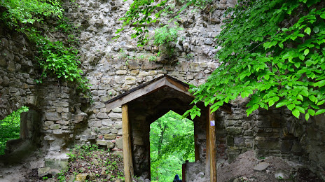Ruins of Castle Sobień, 