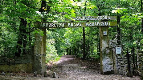 Moravian Gate Arboretum (Arboretum Bramy Morawskiej), Ρασιμπόρτζ