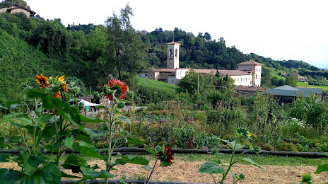 Botanic Garden Of Bergamo, Astino Section, Seriate