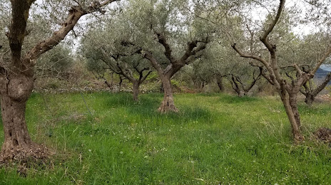 Città Romano-Sannitica di Cluviae, 