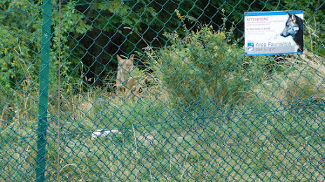 Area Faunistica Osservatorio del Lupo, Guardiagrele