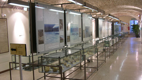 Museo Civico Domenico dal Lago, 