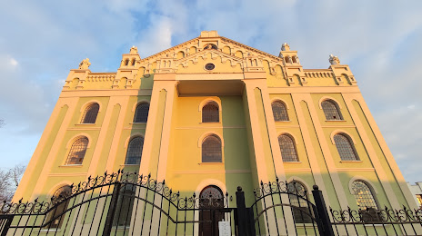 Хоральная синагога, Трускавец