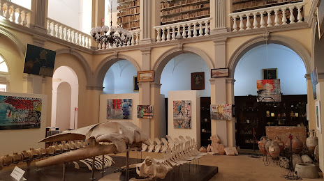 Museo Civico Emanuele Barba, Gallipoli