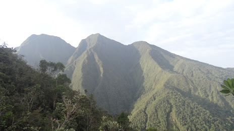 Natural Serranía De Los Yariguíes National Park, San Vicente De Chucurí