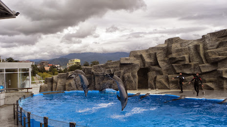 Batumi Dolphinarium, Batumi