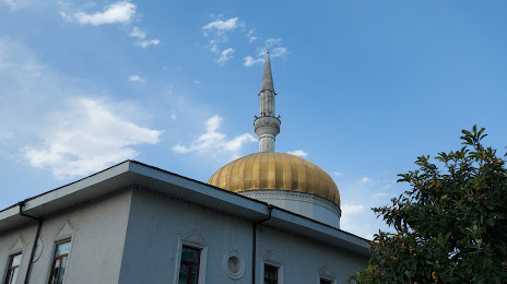 Batumi Central Mosque, 