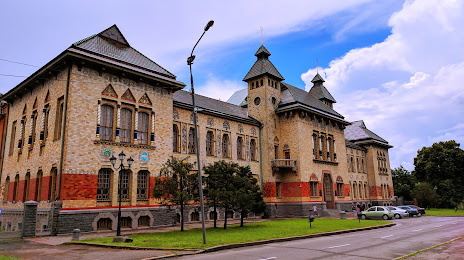 Poltavskij krayeznavchij muzej imeni Vasilya Krichevskogo, Полтава