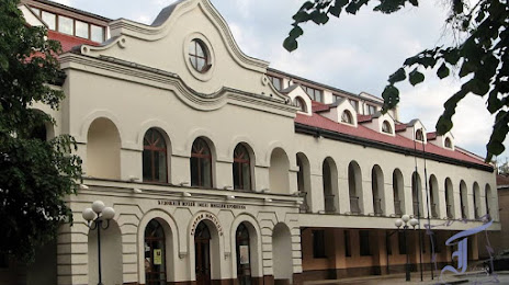 Poltavskij hudozhnij muzejimeni Mikoli YAroshenka, Полтава