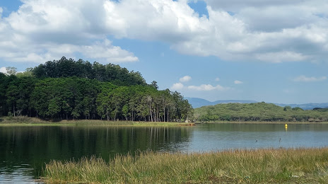 Laguna El Pino, 