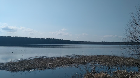 Озеро Корегощ, Осташков