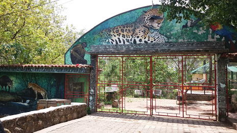 Metropolitan Zoo Rosy Walther, 