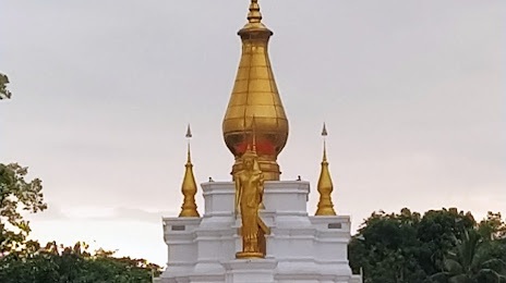 World Peace Pagoda Analayo, 