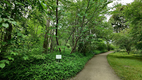 Arboretum, Грайфсвальд