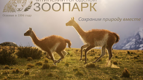 Chitinskiy Gorodskoy Zoopark, 