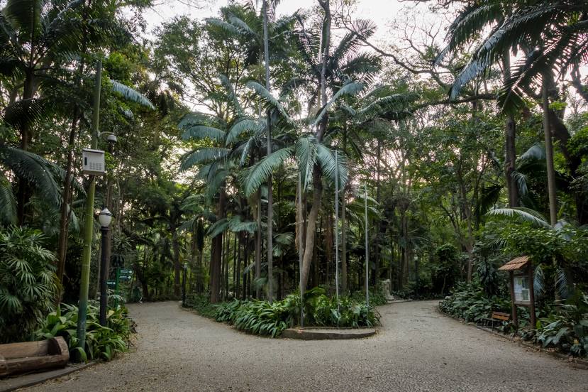 Trianon Park (ParqueTenente Siqueira Campos - Trianon), São Paulo