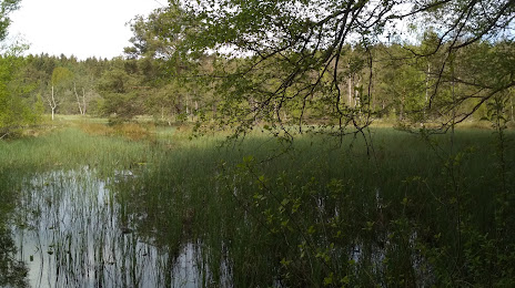 Озеро Блиндер, Ридлинген