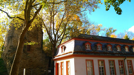 Musée d'histoire de la ville Mayence, Ginsheim-Gustavsburg