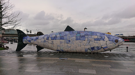 The Big Fish, Belfast