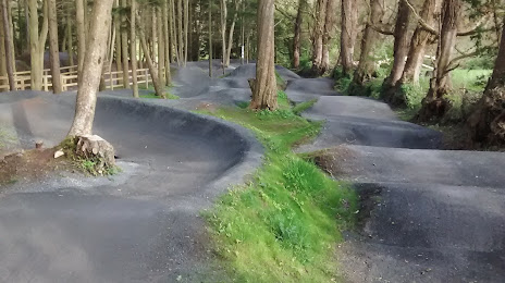 Barnett Demesne Trails & Jumps Park, Belfast