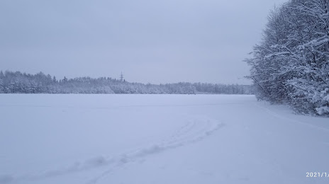 Четырёхвёрстное озеро, Петрозаводск