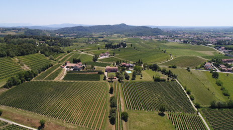 Azienda Agricola Dino Turco, Cividale del Friuli